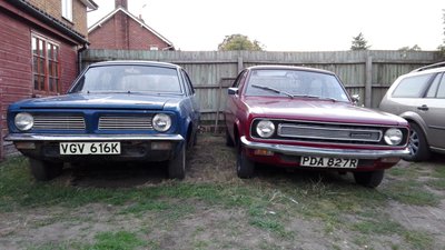 The collection begins!! I've caught the bug